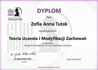 Dyplom TeoriaUczeniaModyfikacji Zachowań Tutak_page-0001