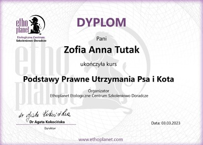 Dyplom PPUPiK Tutak_page-0001