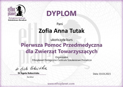 Dyplom PPPdZT Tutak_page-0001