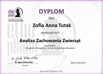 Dyplom AnalizaZachowaniaZwierząt Tutak_page-0001